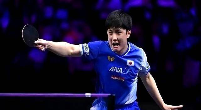 关于波兰乒乓球队血洗法国乒乓球队，张本智和绝境逆转的信息