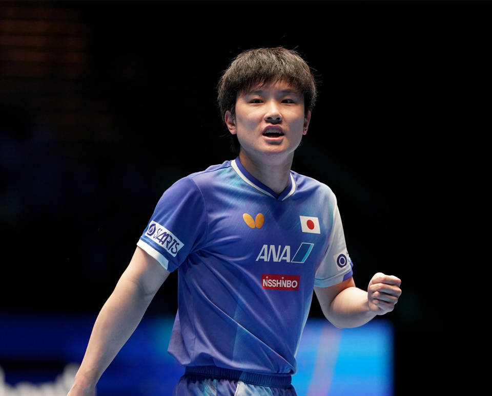 关于波兰乒乓球队血洗法国乒乓球队，张本智和绝境逆转的信息