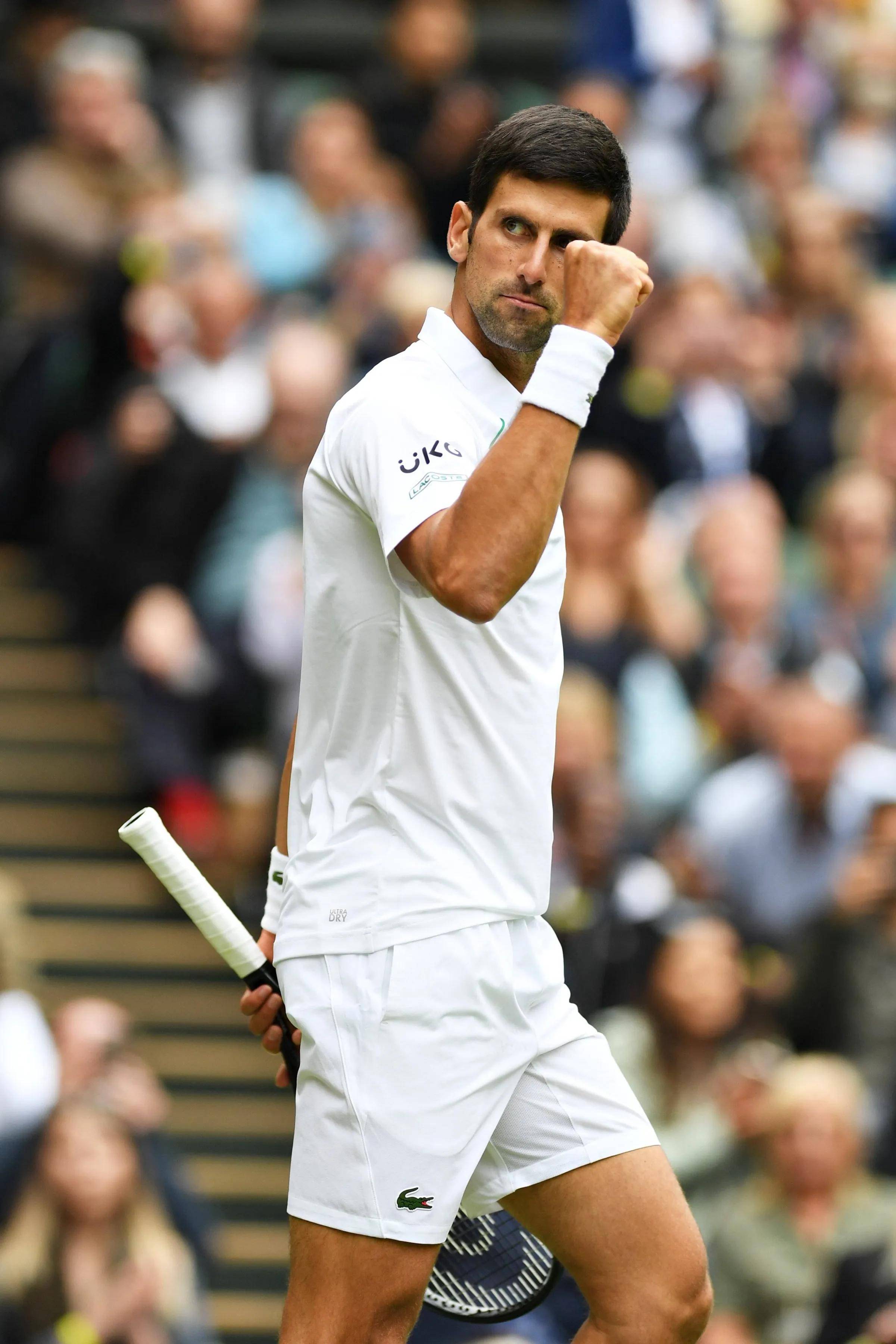 日本网球队横扫世界网球队，德约科维奇惊艳世界的简单介绍