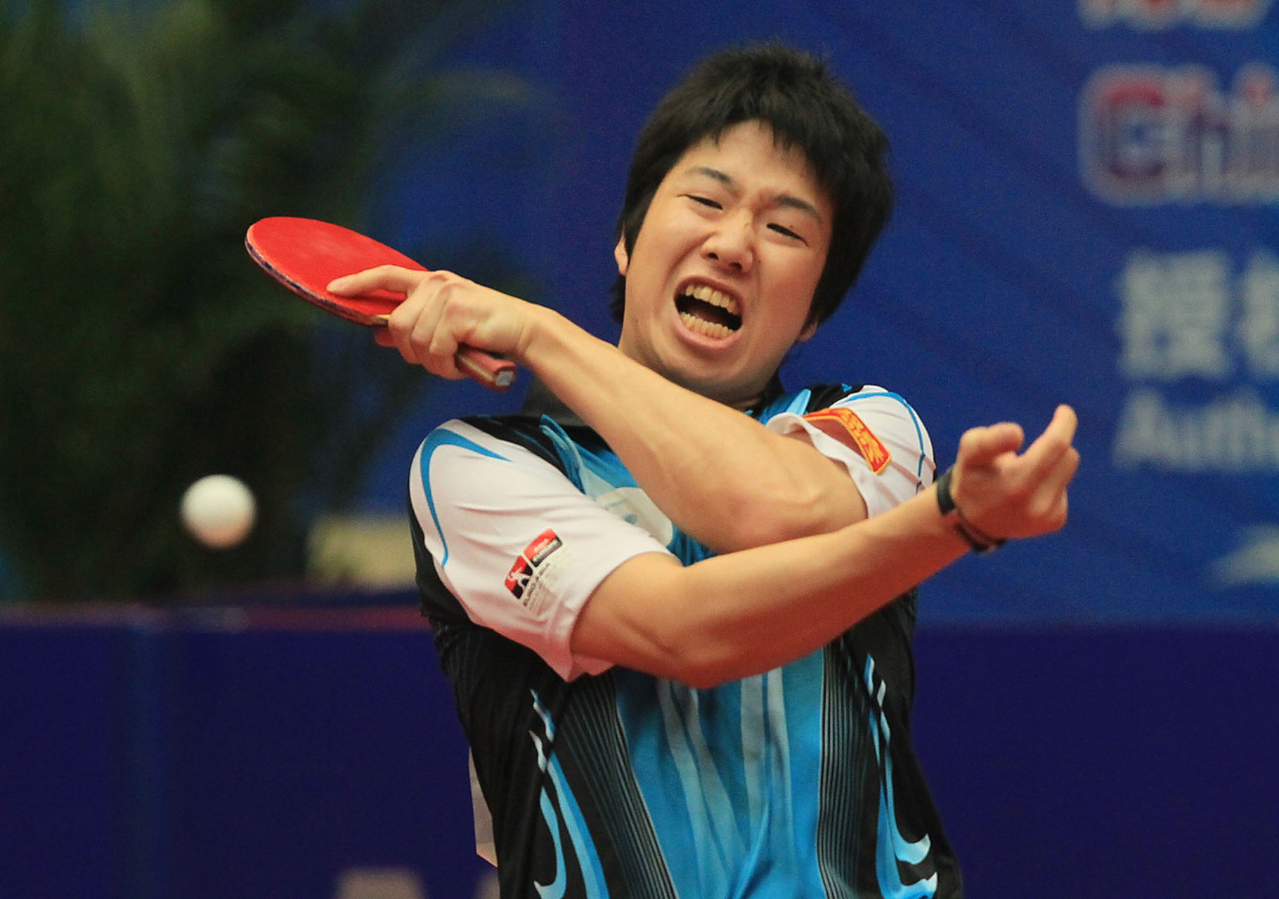 日本乒乓球队险胜韩国乒乓球队，水谷隼惊艳世界的简单介绍