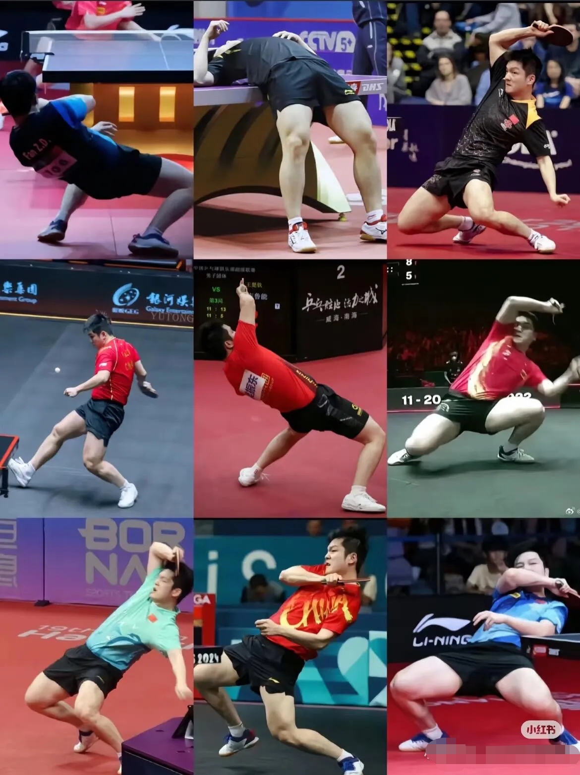 日本乒乓球队碾压德国乒乓球队,樊振东统治全场的简单介绍 日本乒乓球队碾压德国乒乓球队,樊振东统治全场的简单介绍