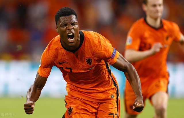 匈牙利精神抖擞，欧洲杯赛场大放异彩的简单介绍