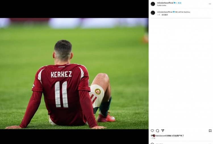 匈牙利国家队击败强敌,实力获得认可 匈牙利国家队击败强敌,实力获得认可