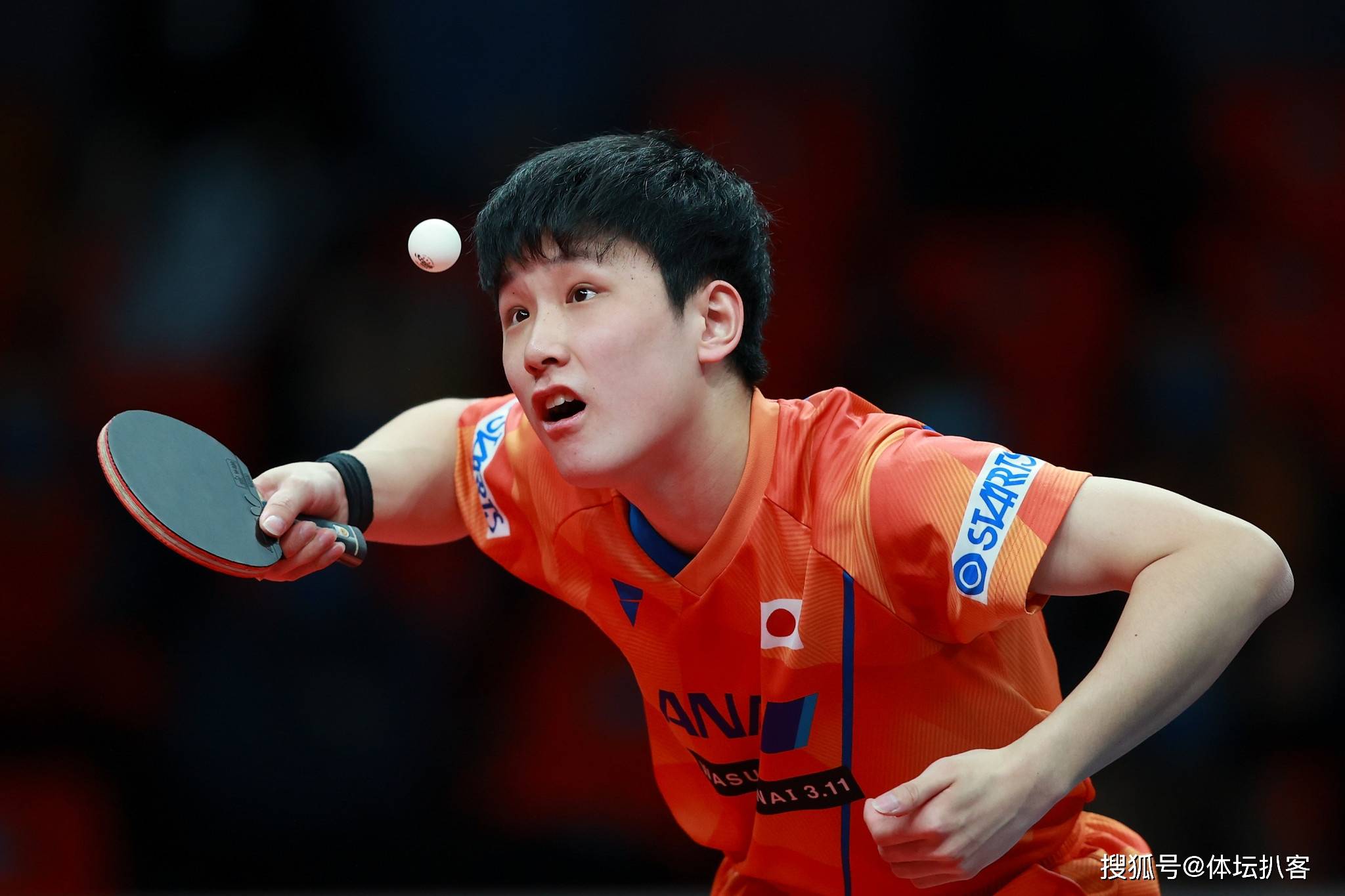 开云体育入口-波兰乒乓球队轻取日本乒乓球队，马龙一己之力扛起全队的简单介绍
