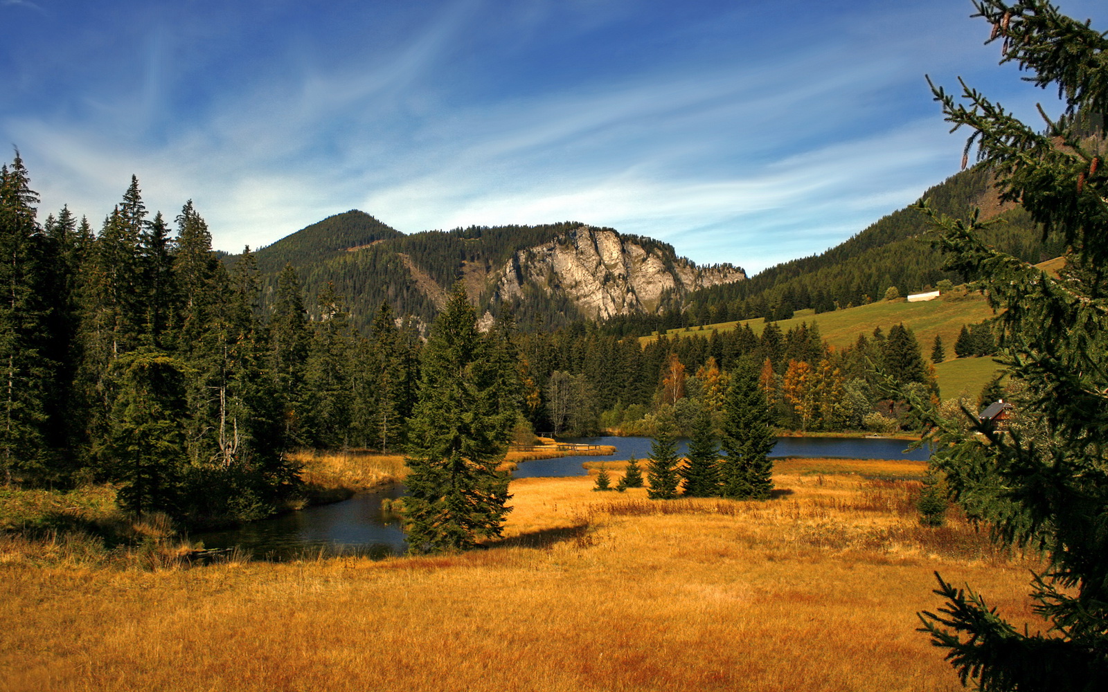 卡瓦哈尔,从冰封替补到世界焦点,一场比赛改写命运