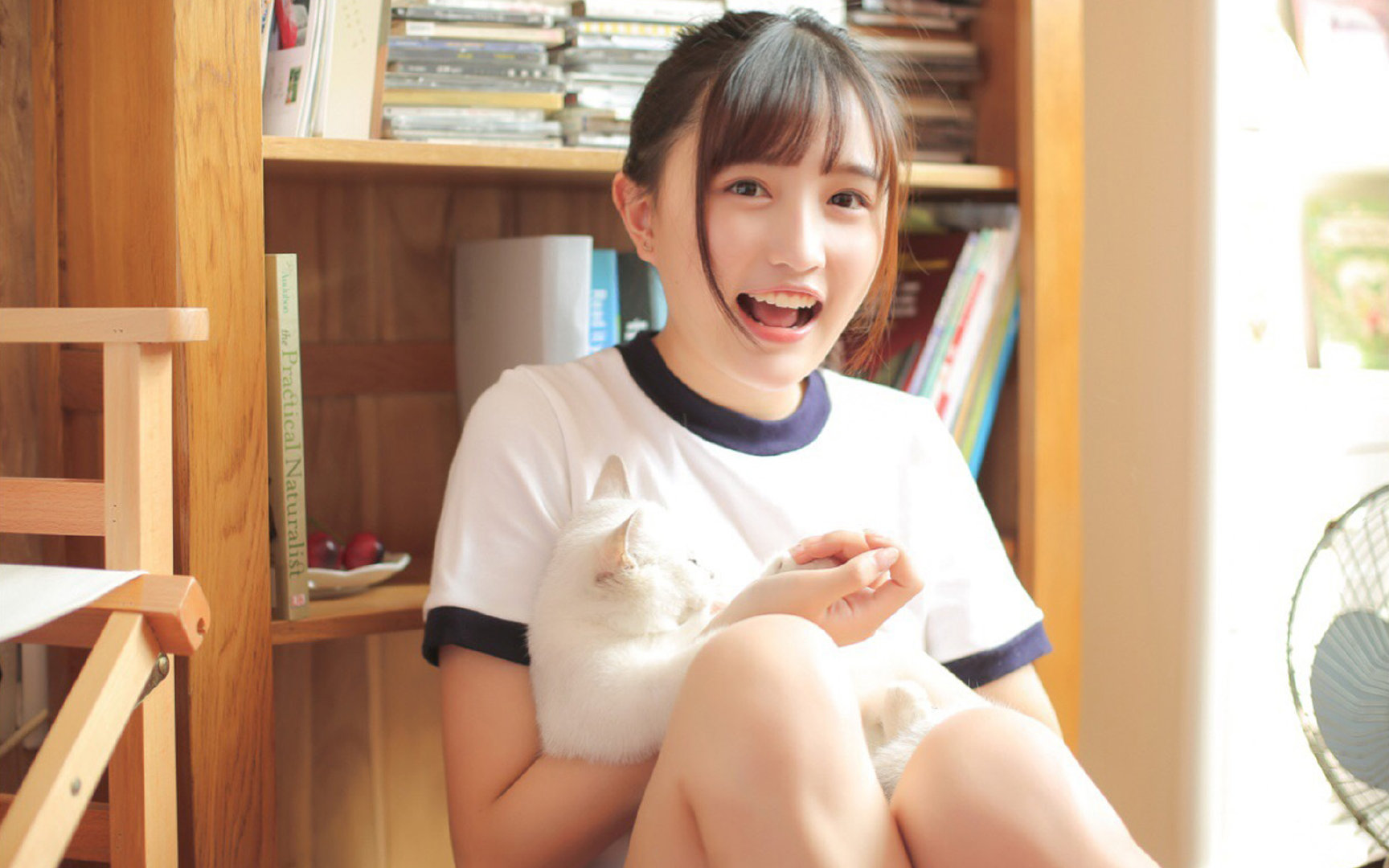 西决生死战焦点战,摩洛哥力克丹麦,足球与篮球的跨时空共鸣