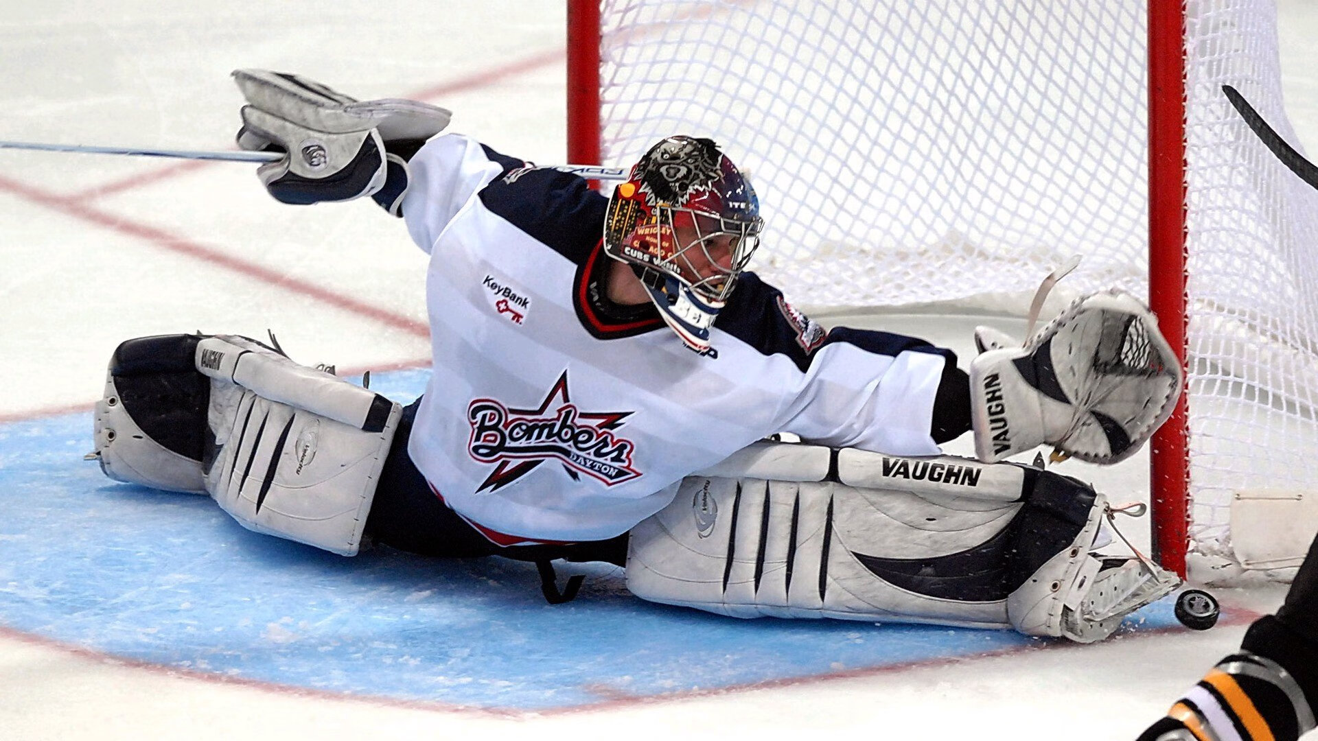 塔图姆爆发，森林狼全面压制鹈鹕